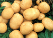 Почему не стоит злоупотреблять картофелем
